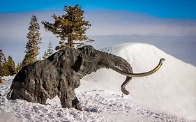 La Vista Blanc